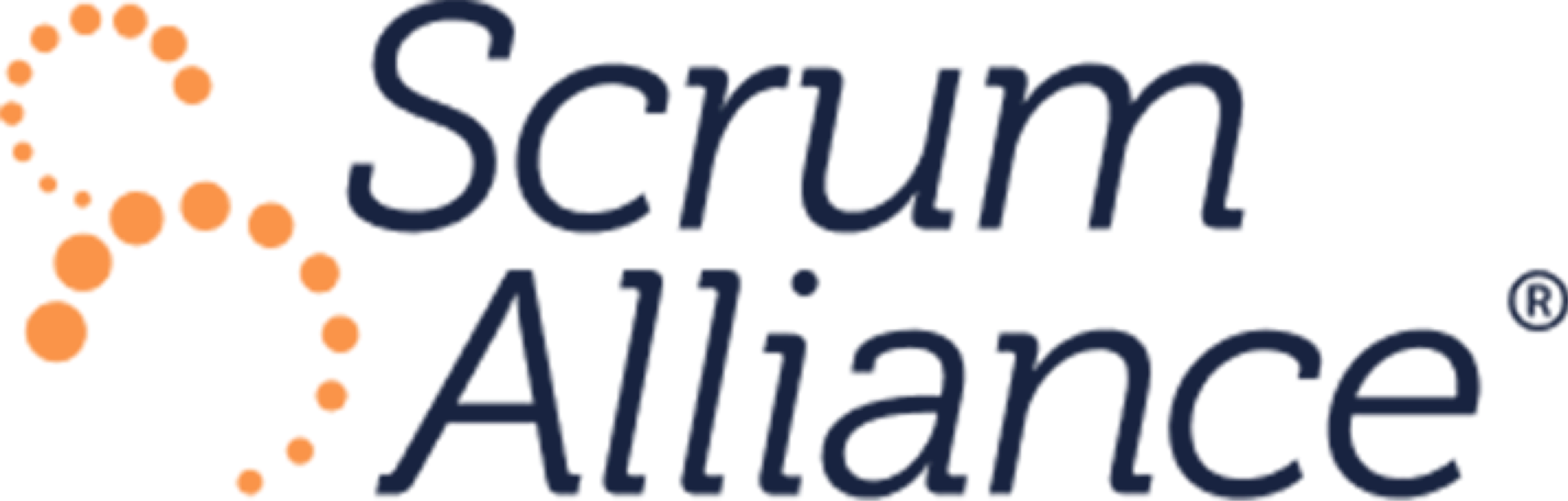 title sponsor scrum alliance